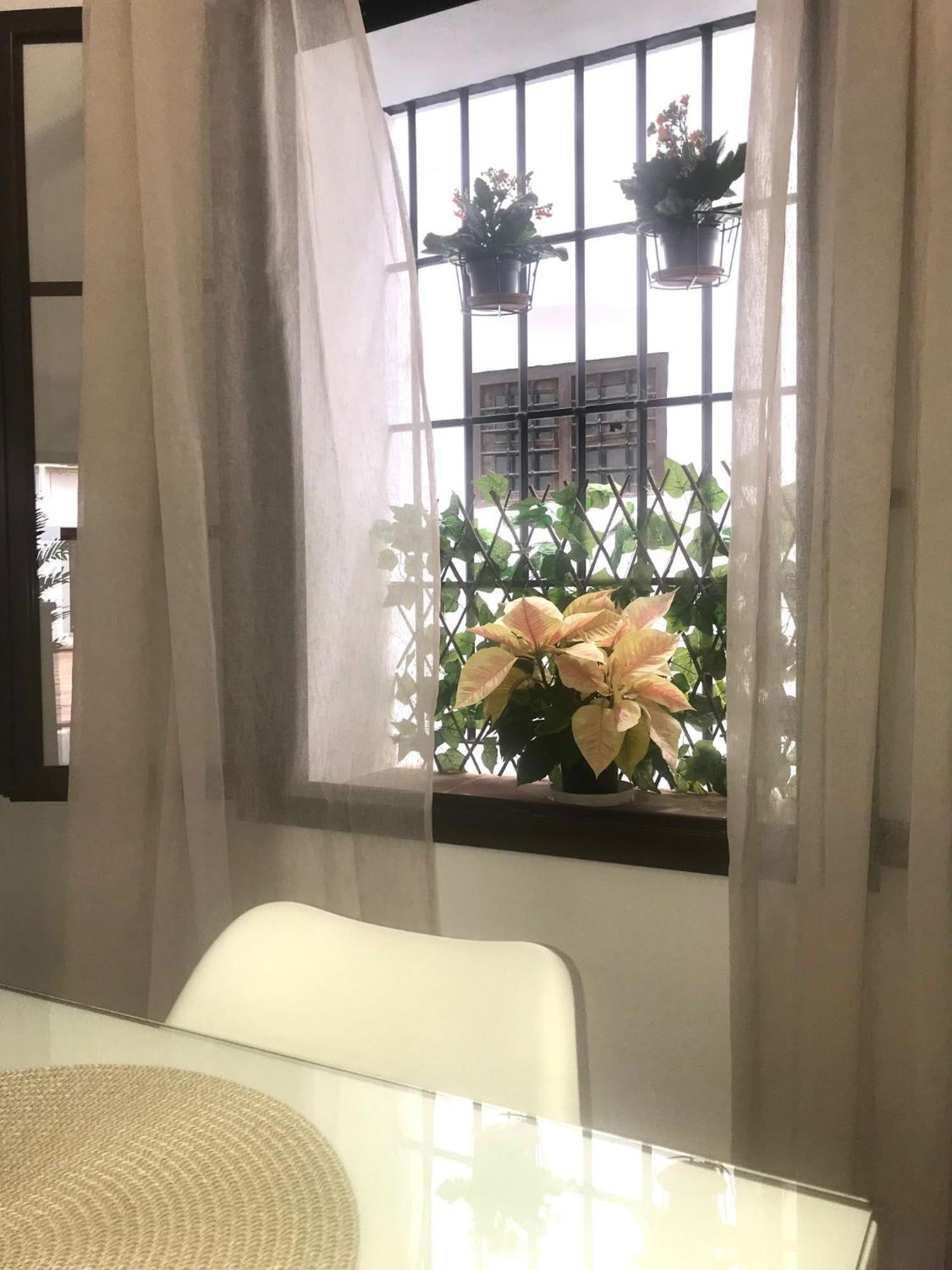 Apartamento El Museo Écija Dış mekan fotoğraf